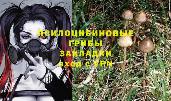 МДПВ Михайловка