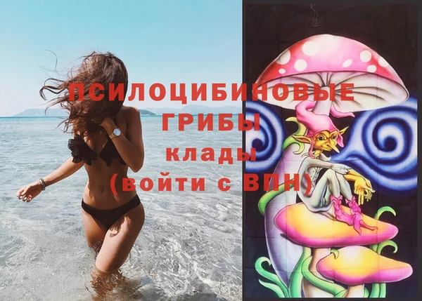МДПВ Михайловка